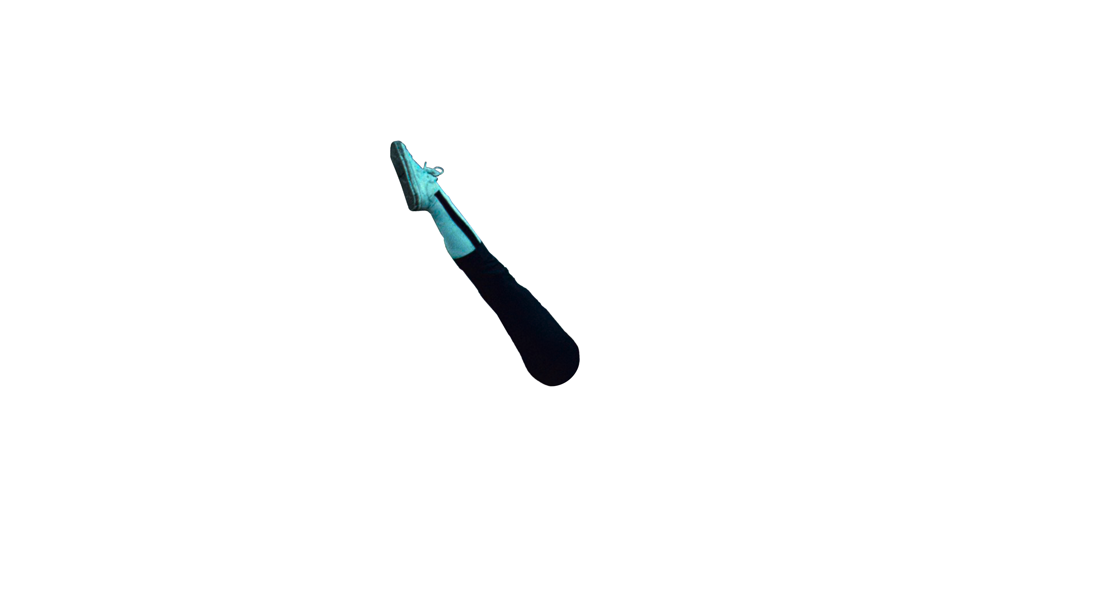 Leg